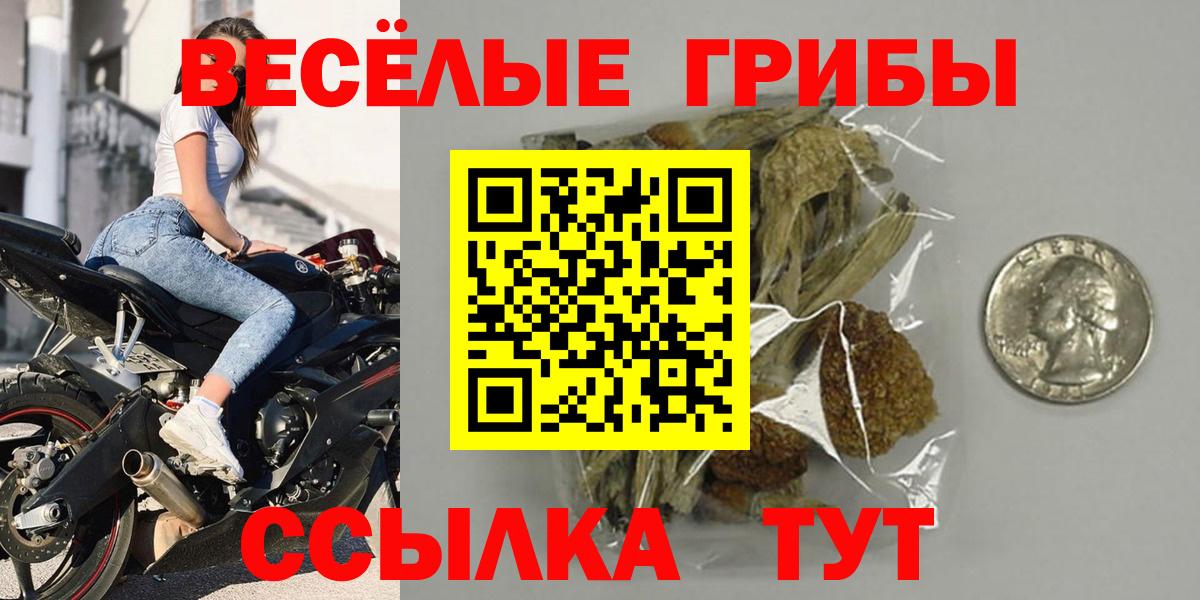 Псилоцибиновые грибы MAGIC MUSHROOMS  Галлюциногенные грибы прущие грибы  Великий Новгород  Вход с VPN 